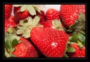 Fraises en folie...